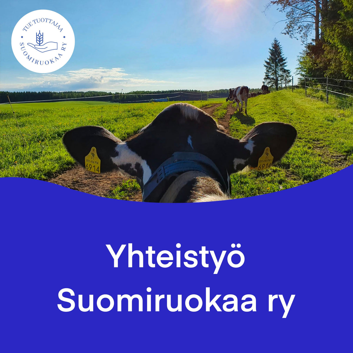 Yhteistyö - Suomiruokaa ry