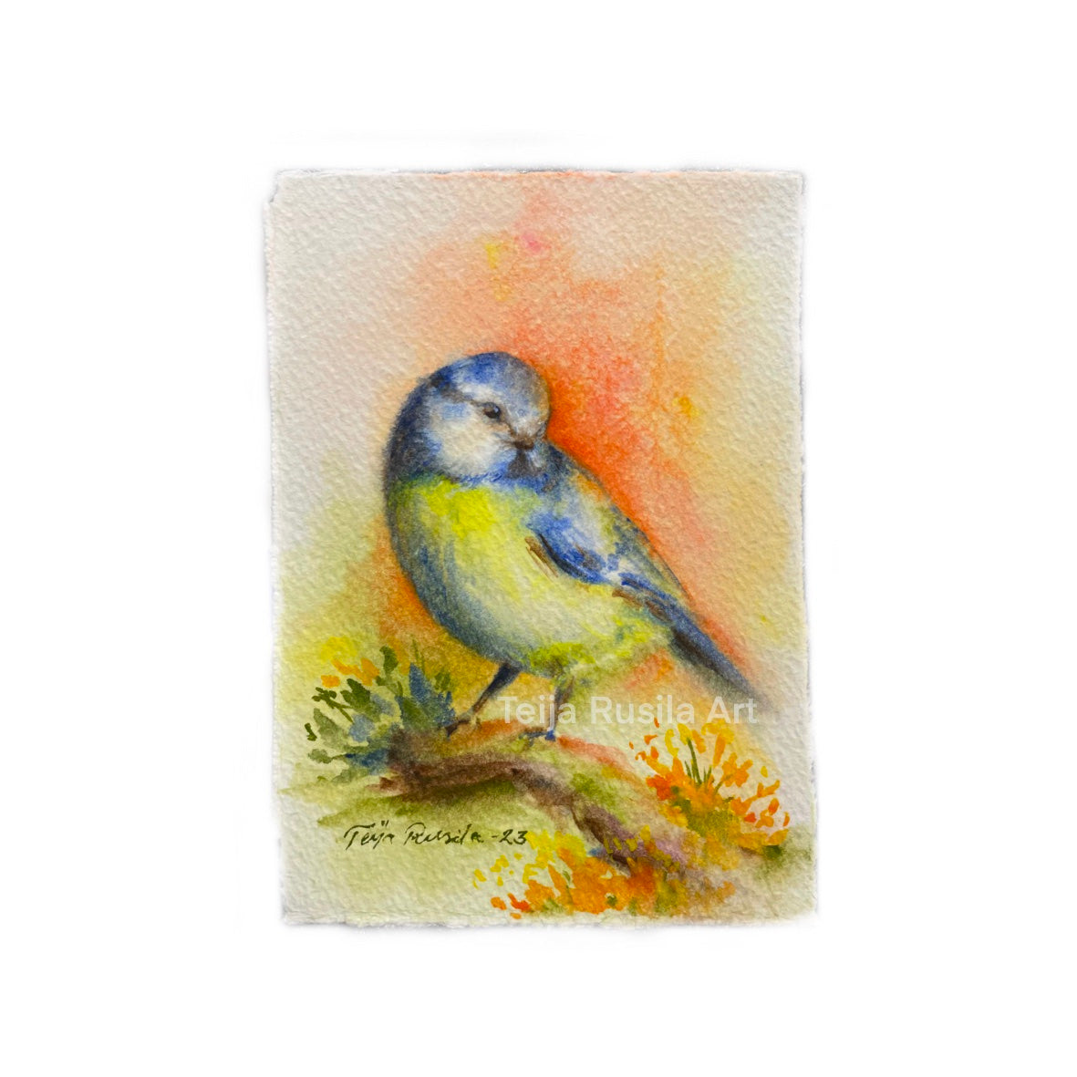 Teija Rusila Art | Tsirppi