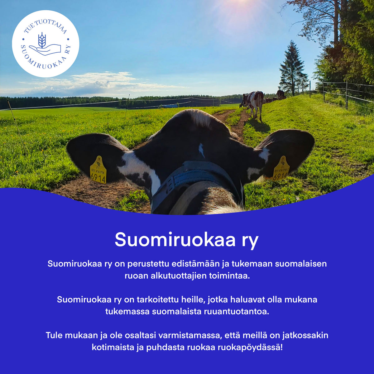 Teija Rusila Art | Suomiruokaa ry | Tue tuottajaa | Vuosikerta viljaa